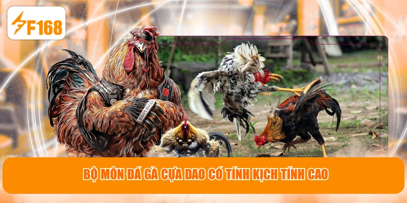 Bộ môn đá gà cựa dao có tính kịch tính cao